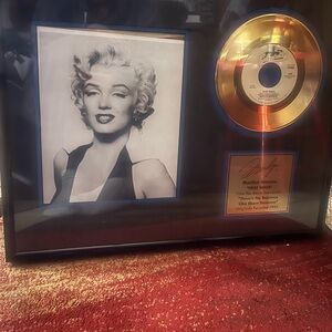 Classic Gold and Black Framed Record Display